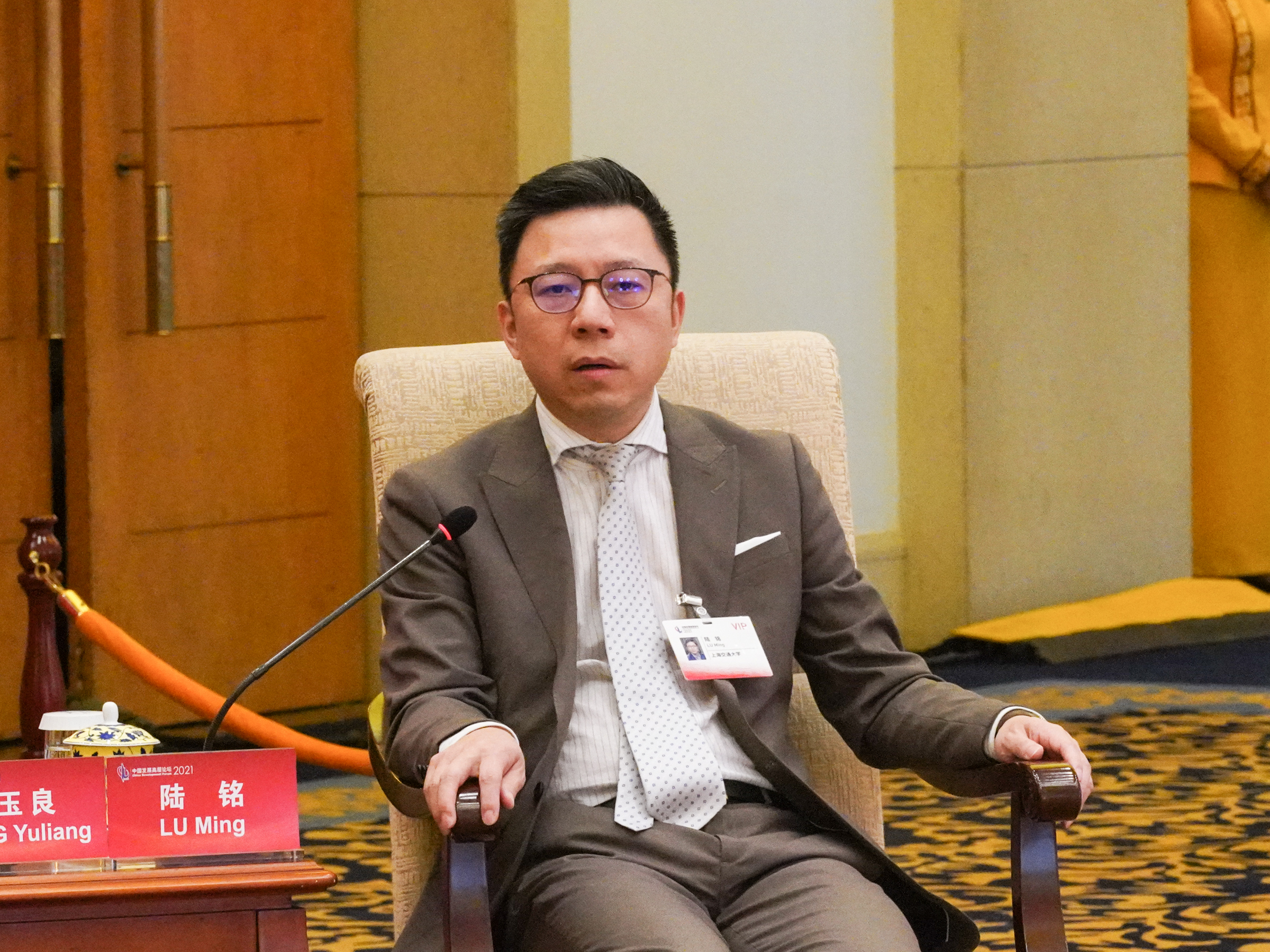 上海交通大学教授,上海交通大学中国发展研究院执行院长陆铭   澎湃