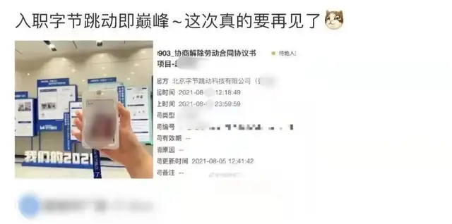 被字节教育裁员后 “我还是想给它打工”