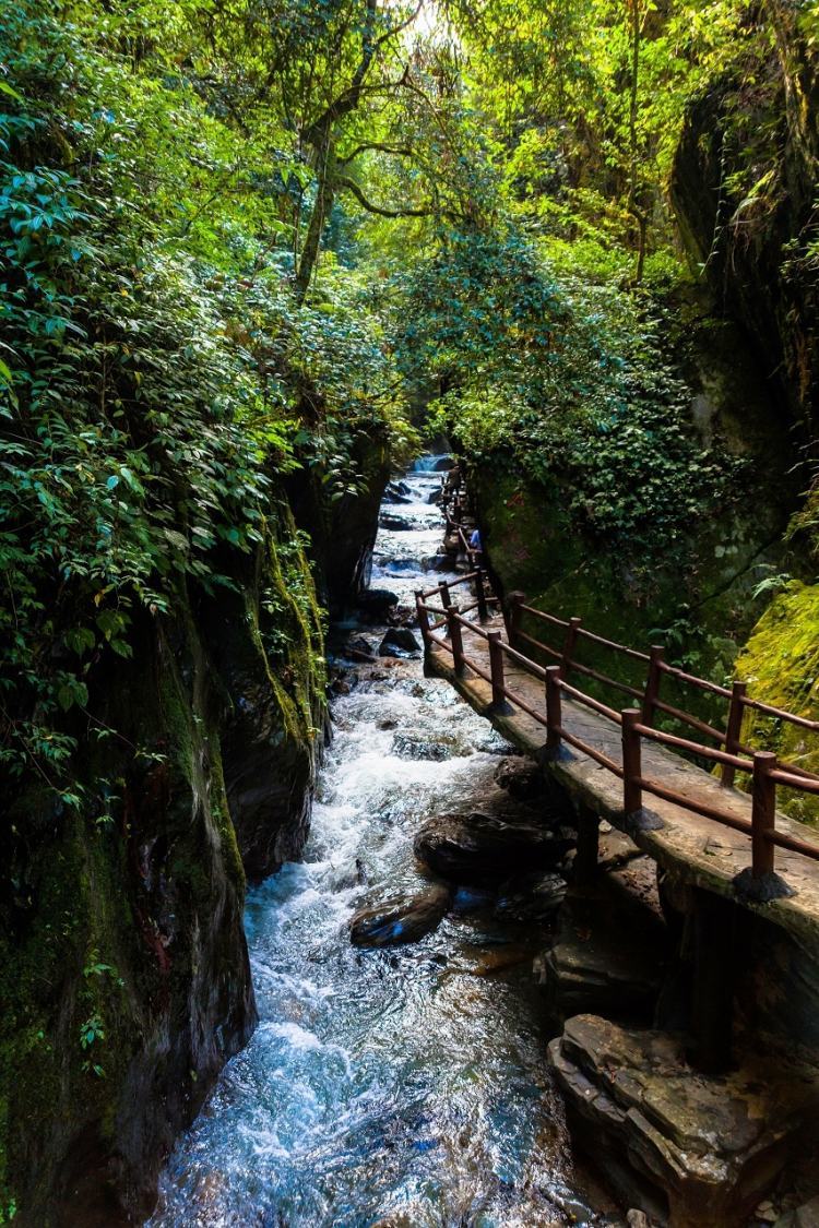 新平哀牢山风景区图片