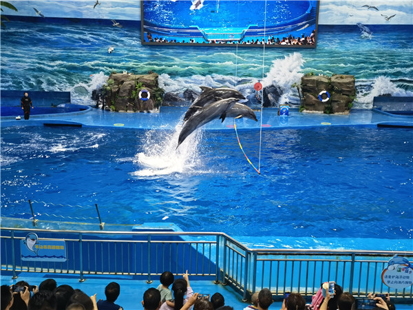 贵阳地铁2号线建设者参观极地海洋世界 共度欢乐周末