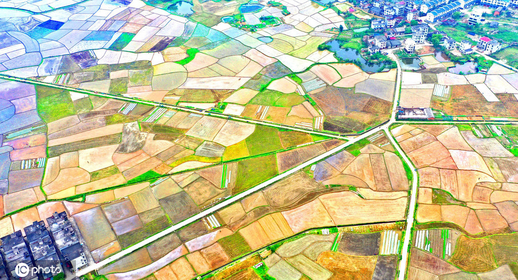 在江西省吉安市永丰县佐龙乡罗富村,从空中俯瞰春耕田园,色彩斑斓,风景如画。仲春时节,江西省吉安市永丰县风和日丽,当地农民抢抓晴朗天气投入水稻春耕春种生产。翻耕整理后的稻田色块交错似织锦,在春阳的映照下呈现大地韵律之美。