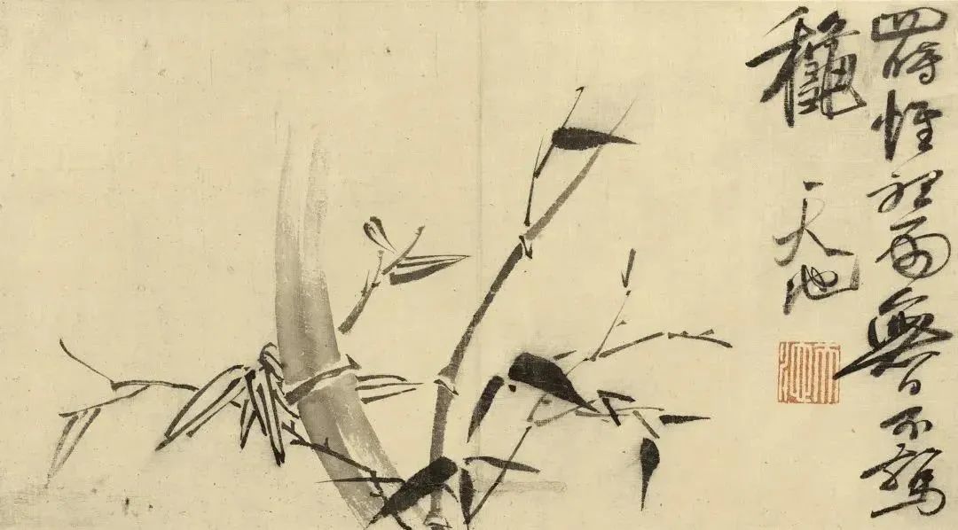 徐渭 竹子 徐渭酷爱竹子，一起欣赏下他的作品
