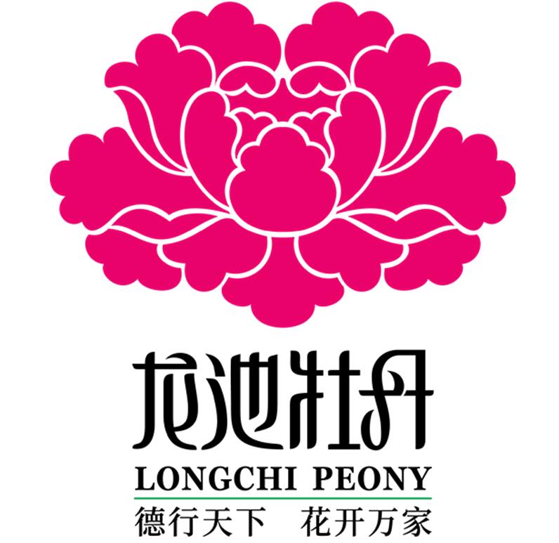 龙池牡丹新logo来了 王封:赋能品牌发展,助力品牌升级