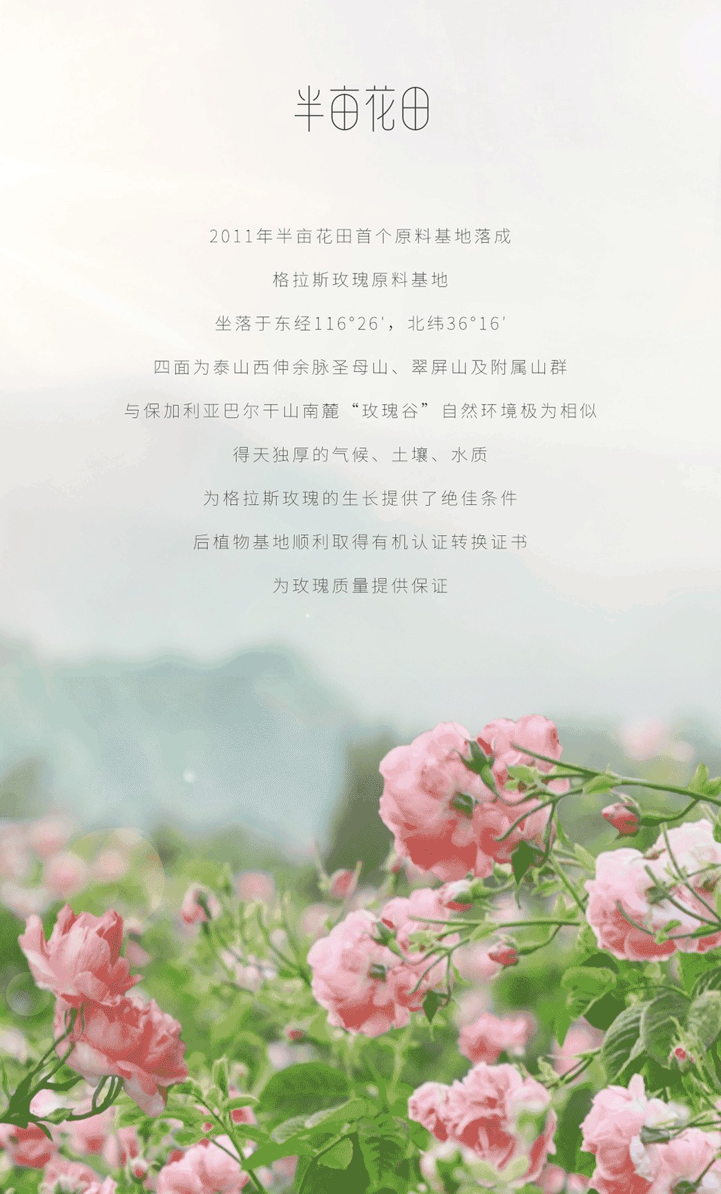 半亩花田践行公益事业使命感铸就品牌中国心