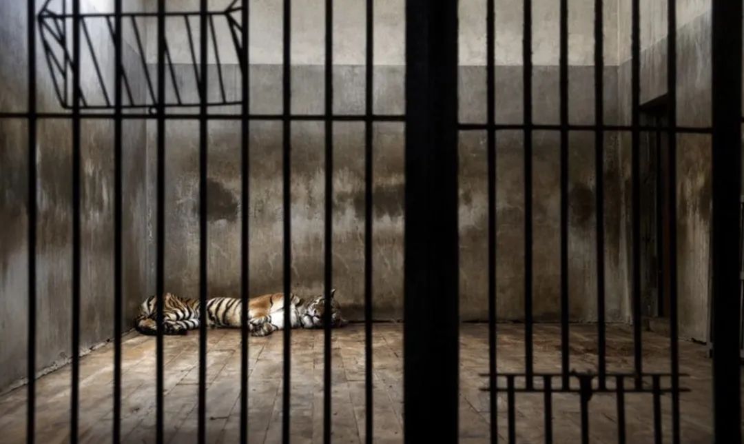 一年亏损3000万:这样做人,能有好报吗?