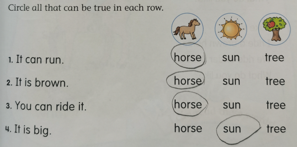 horse 怎么读音发音图片