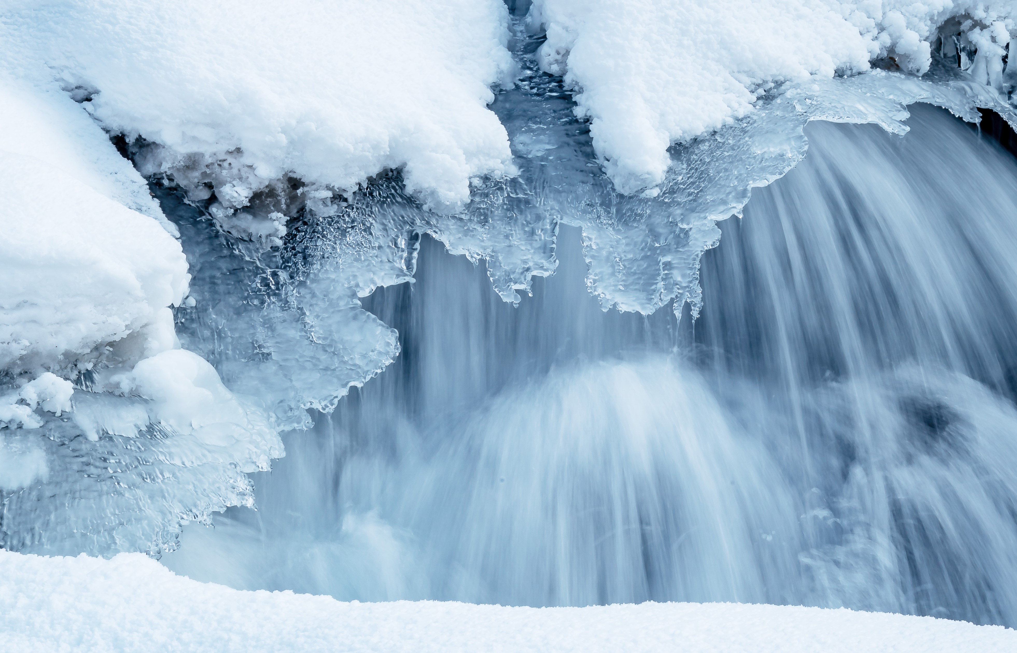 长白山60年前的雪，是什么味道？_安欣沙拉酱OEM代工贴牌