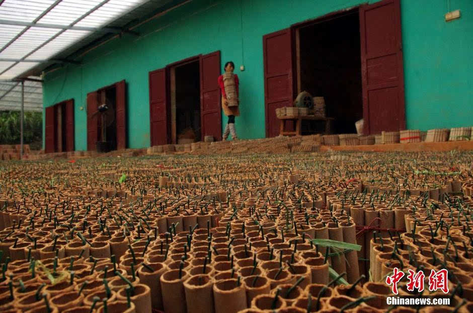 大热天晒烟花致百余人伤亡,记2003年河北辛集烟花厂事故__凤凰网