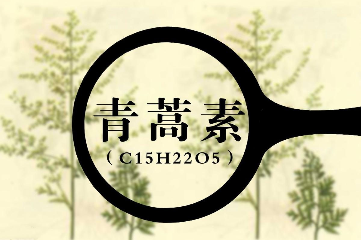 中药现代化的大势所趋我们的机会在哪