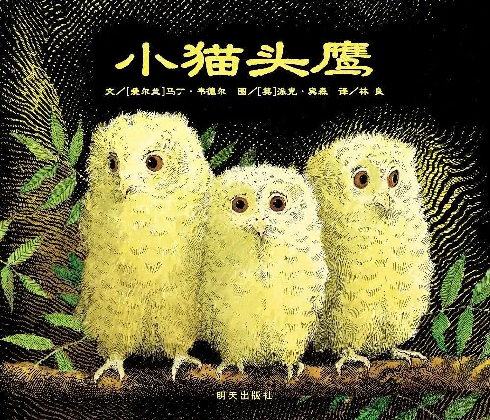 绘本童伴早教:《小猫头鹰》治愈幼儿的分离焦虑