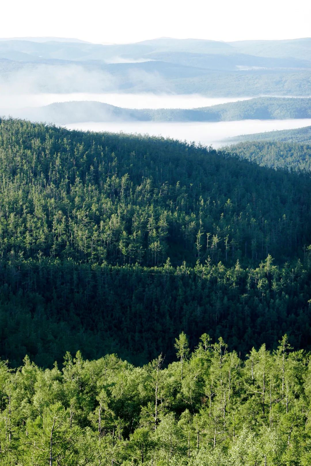 中国北境最神秘的地带,我终于看清你了