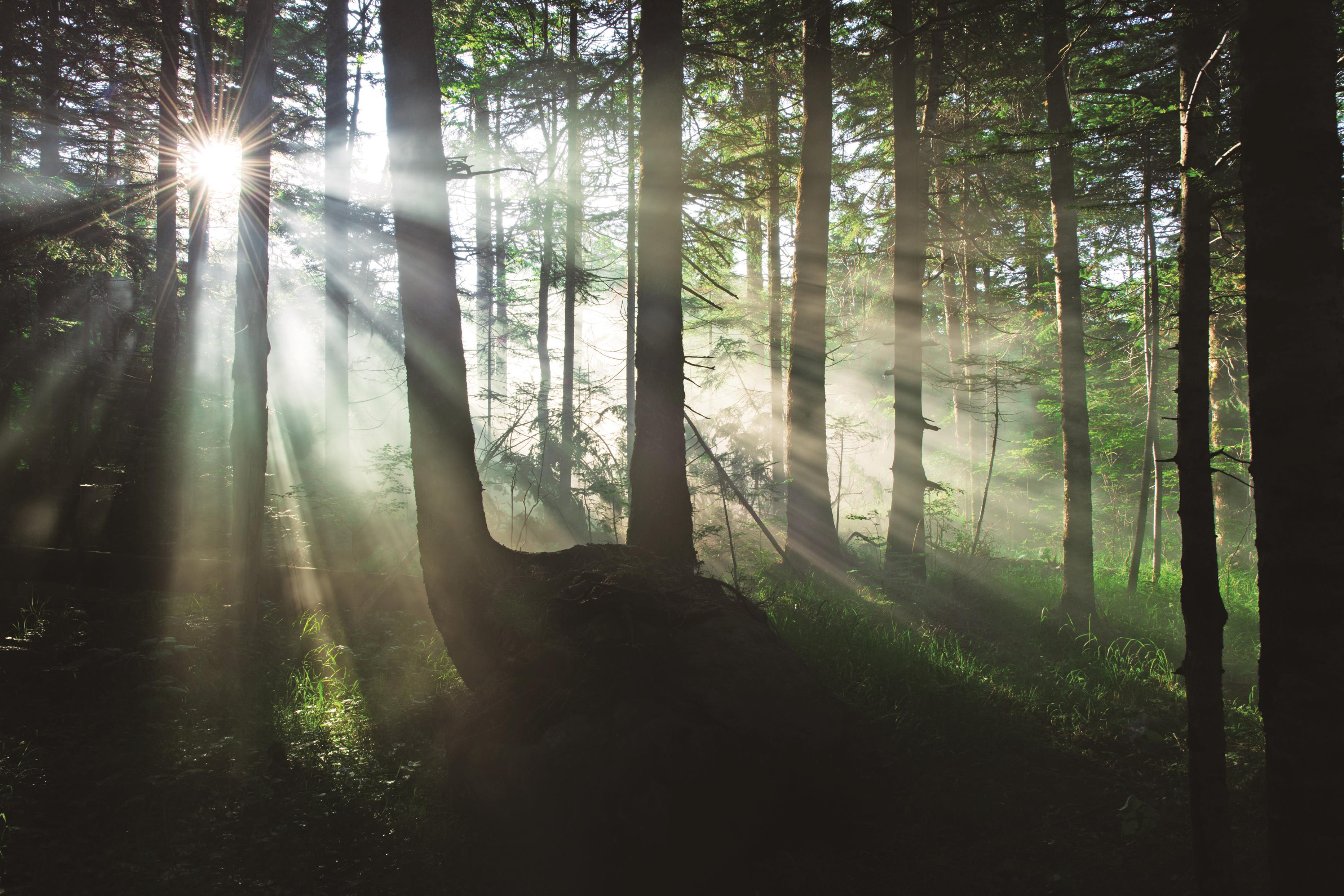 这个夏天,去长白山遇见22℃的美好