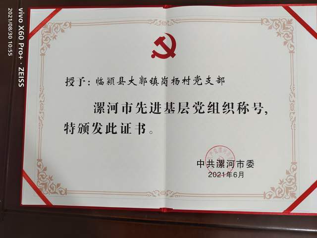 祝贺革命老区岗杨村党支部荣获"漯河市先进基层党组织"称号__凤凰网