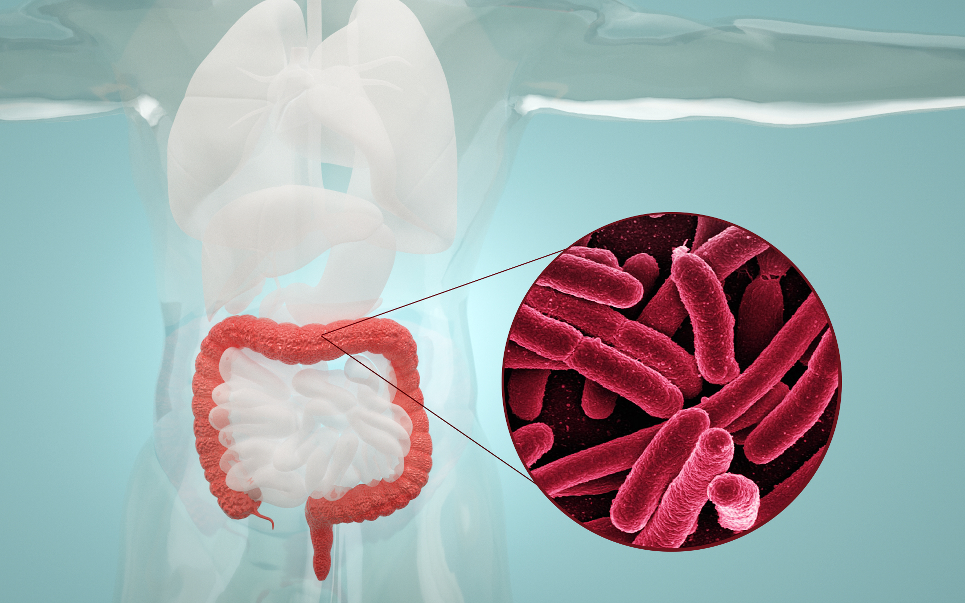 确认学生的症状系由志贺氏菌感染引起的细菌性痢疾,并确定该校食堂