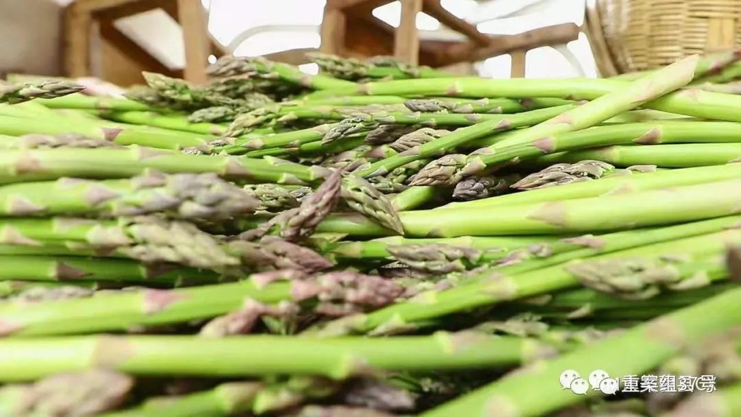 曹县芦笋种植面积图片