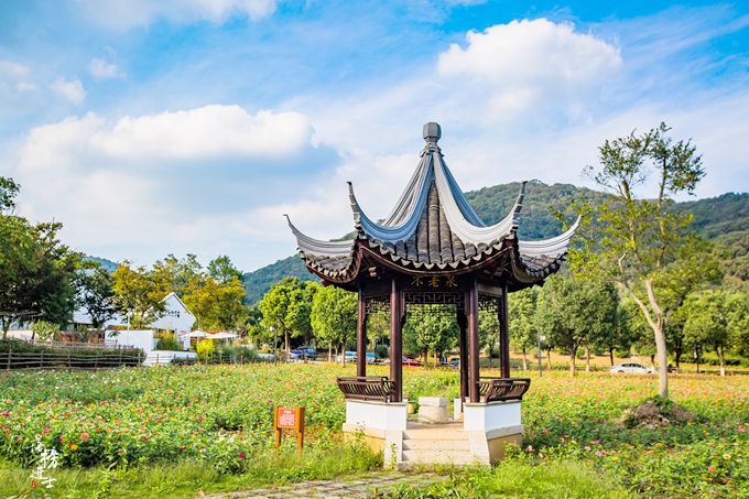 南京浦口有一座不老村,风景秀丽,免门票,有中国最美村镇的美誉__凤凰