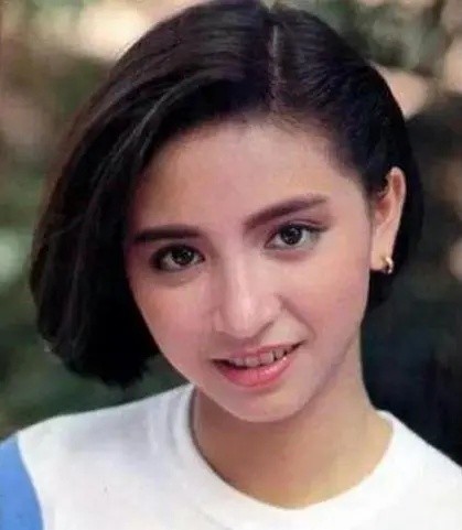 为什么宁静贴片这么贵她才是冻龄选美小姐，为什么港姐的归途有人富太太化？有人刻薄化_https://www.jmylbn.com_新闻资讯_第16张