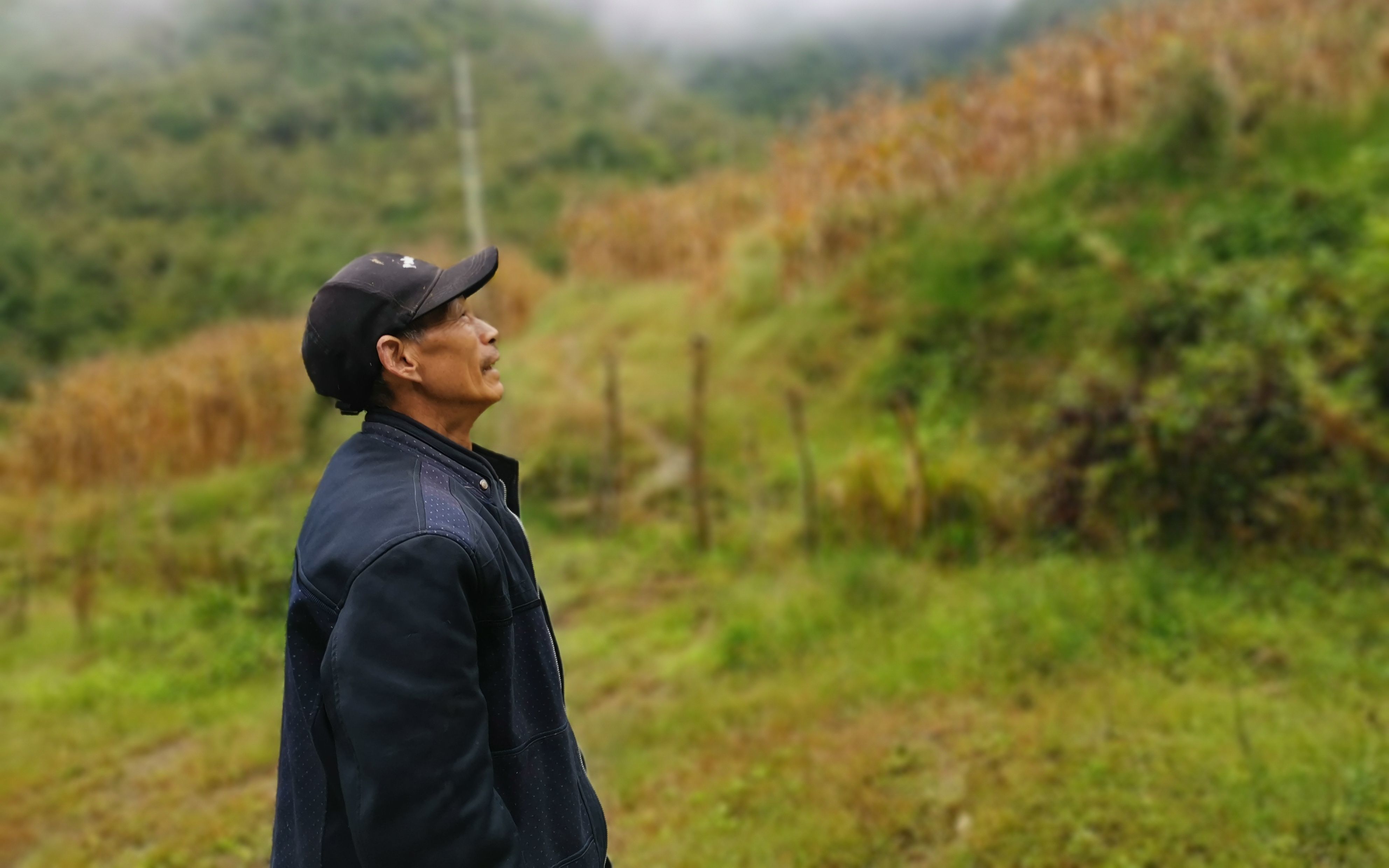 10月14日,青川县青石村,58岁的王丛明告诉记者,他的5亩玉米在5月份的时候,就被吃光了。新京报记者 周怀宗 摄
