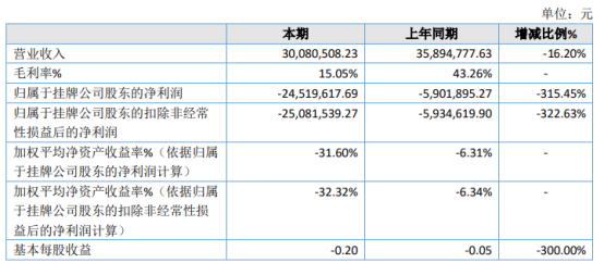 马上游2020年亏损2451.96万亏损增加 可实施项目减少