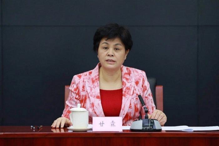 市场监管总局副局长,国家反垄断局局长甘霖.