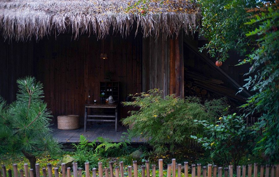 品|人生在世,贵有一颗素心