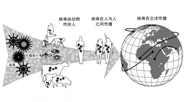 外媒:人工智能或可预测下一场人畜共患病