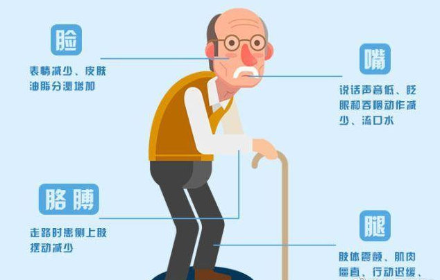 临床上主要表现为静止性震颤,运动迟缓,肌强直和姿势步态障碍.