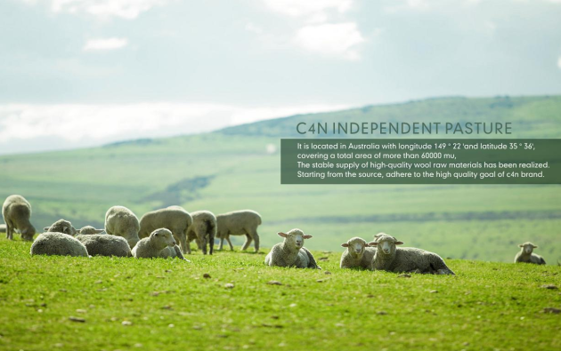 gn是什么牌子C4N是什么牌子及品牌简介_https://www.jmylbn.com_新闻资讯_第3张