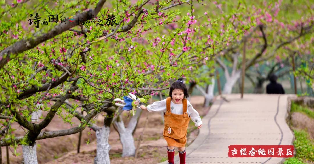 五条经典旅游路线！助你“五一”玩转南充