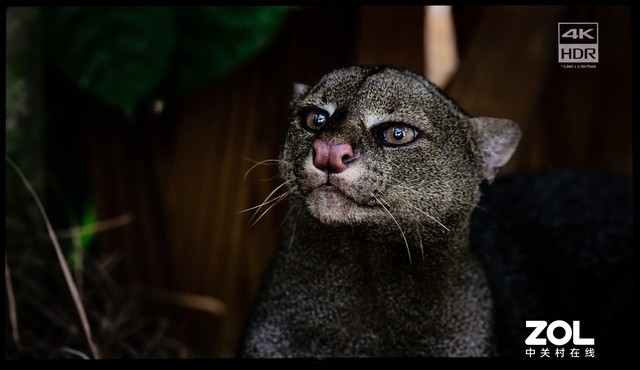 夏普B7系列电视评测