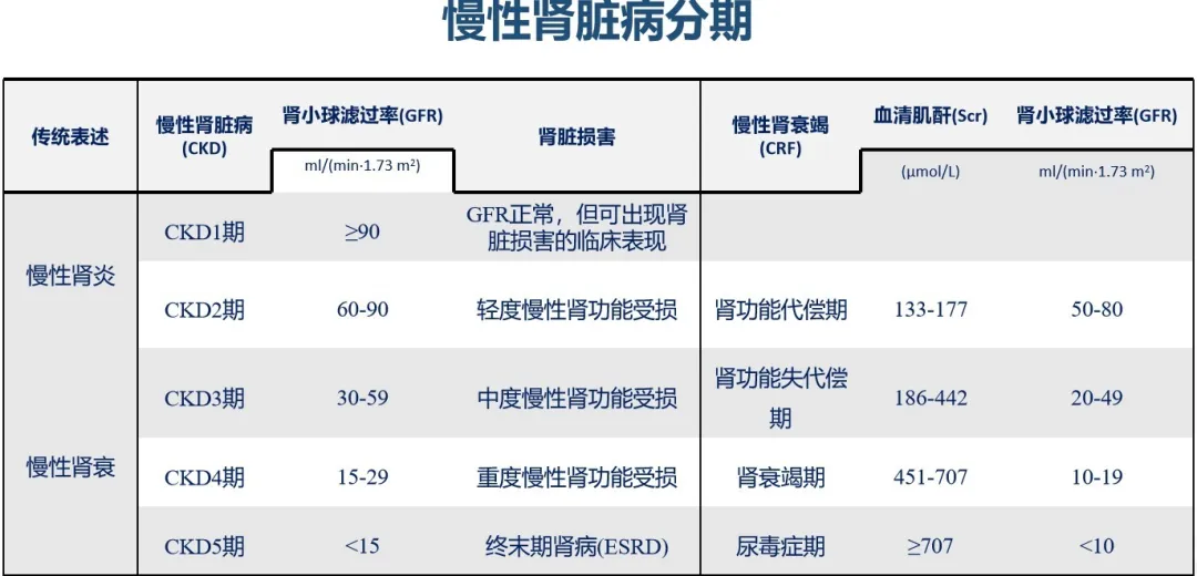 慢性肾脏病分期标准图片