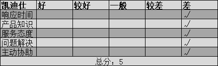 凯迪仕评分