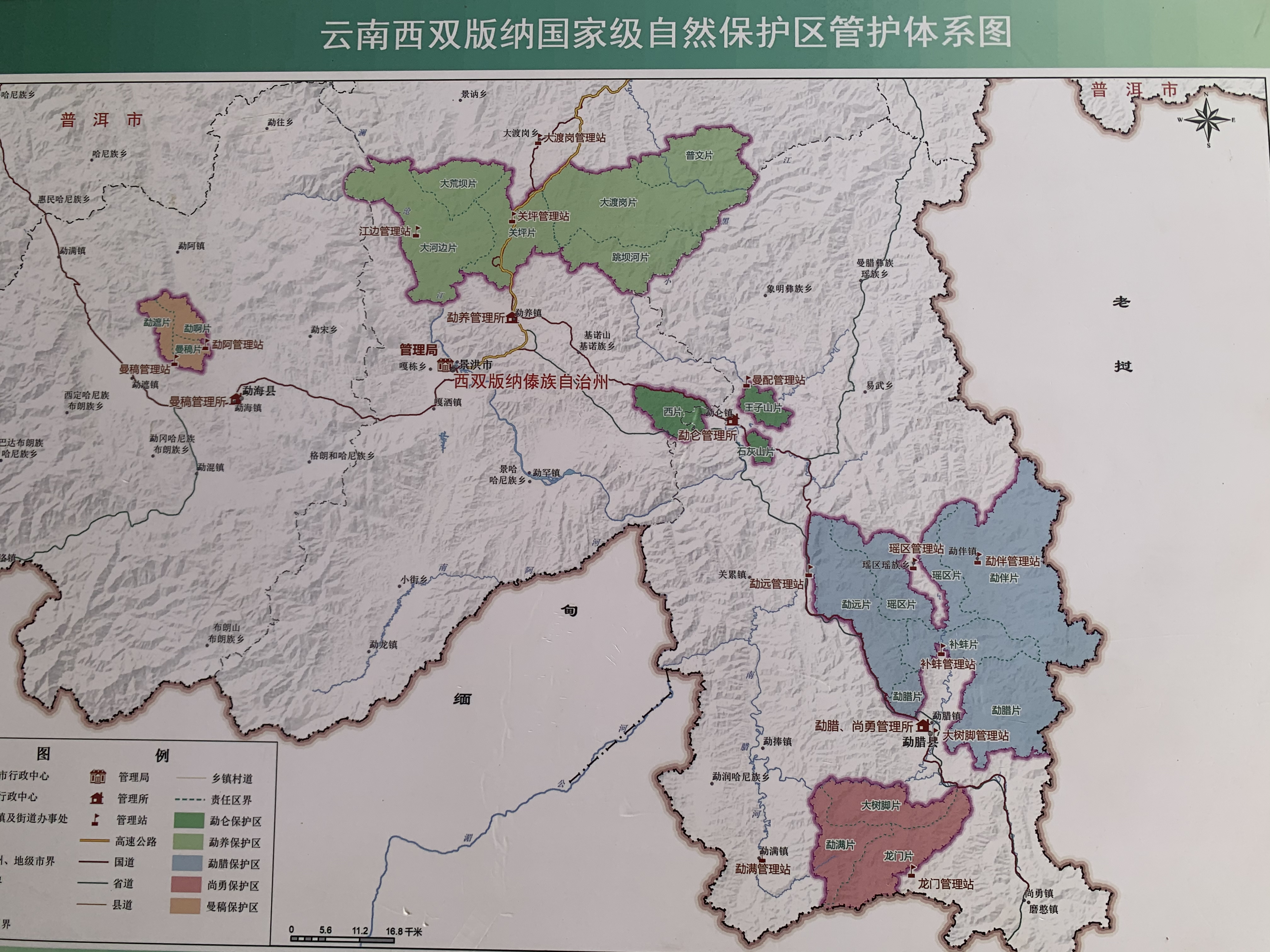 6月5日,西双版纳国家级自然保护区科学研究所所长郭贤明告诉澎湃新闻