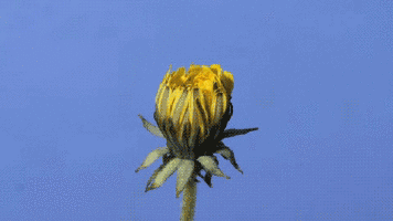 356_200gif 动态图 动图