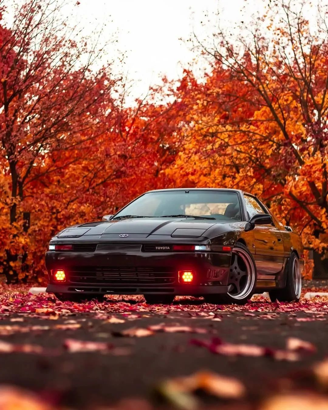 壁纸库|一次满足你对supra的热爱_凤凰网汽车_凤凰网