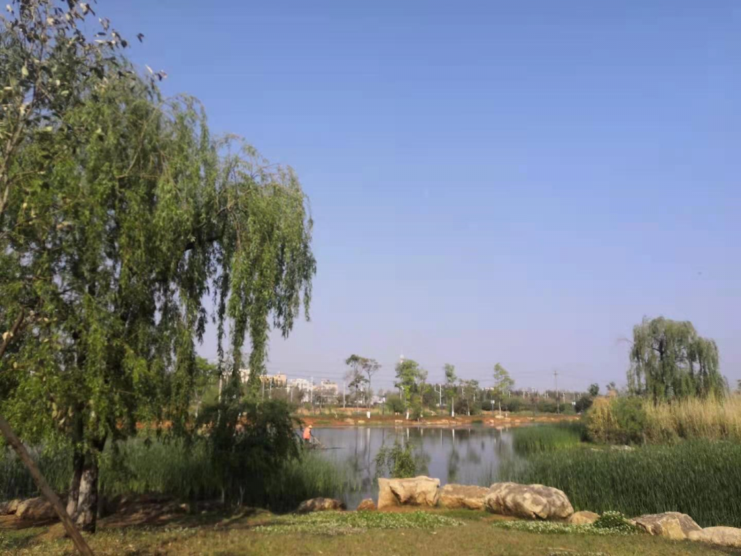 王官溼地公園被譽為昆明的小濟州島 今天我們就來看看 這個小眾公園