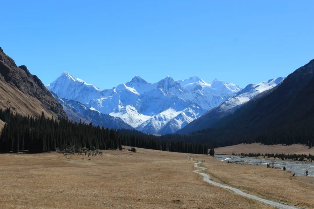 事實上,當時我坐的地方離南疆只隔了兩座山——汗騰格里峰和托木爾峰