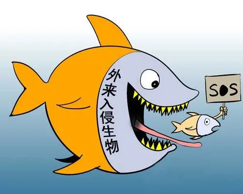 【国家安全教育日】系列三|生物安全之谨防外来物种入侵!