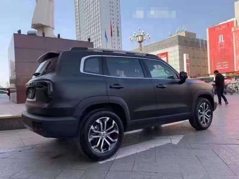 狗狗黑化狗是怎样的哈弗大狗改色磨砂黑