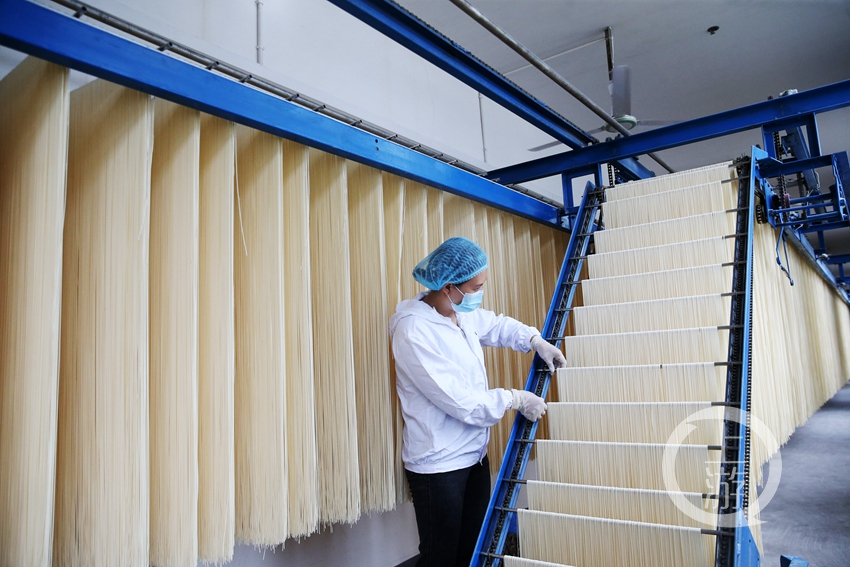 2015年,该区佰裕佳食品公司引进面条生产线,将传统手工工艺与现代机械