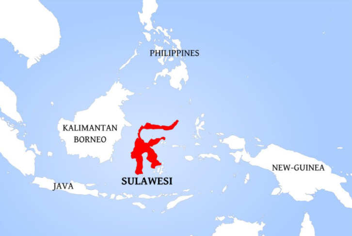 望加锡战役:荷兰东印度公司扩张与东帝汶问题起源