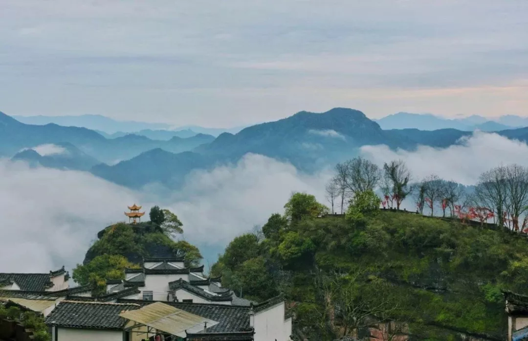 挖到《山河令》同款取景地,还藏一家大促爆款"云上仙居"