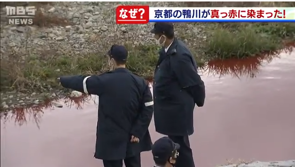 正在现场进行调查的当地警方(MBS)