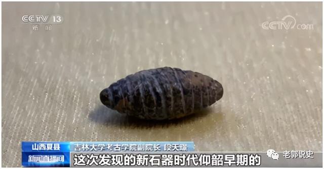 山西夏县师村遗址发现6000年前的石雕蚕蛹,表明已掌握了养蚕缫丝技术。
