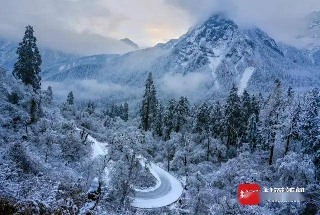 趁着雪景正当时,快来感受圣洁甘孜的银装素裹吧!(本文图据微甘孜)