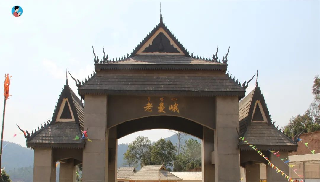 "老曼峨的茶都是苦得难以下咽",这谣言到底是谁传的?__凤凰网