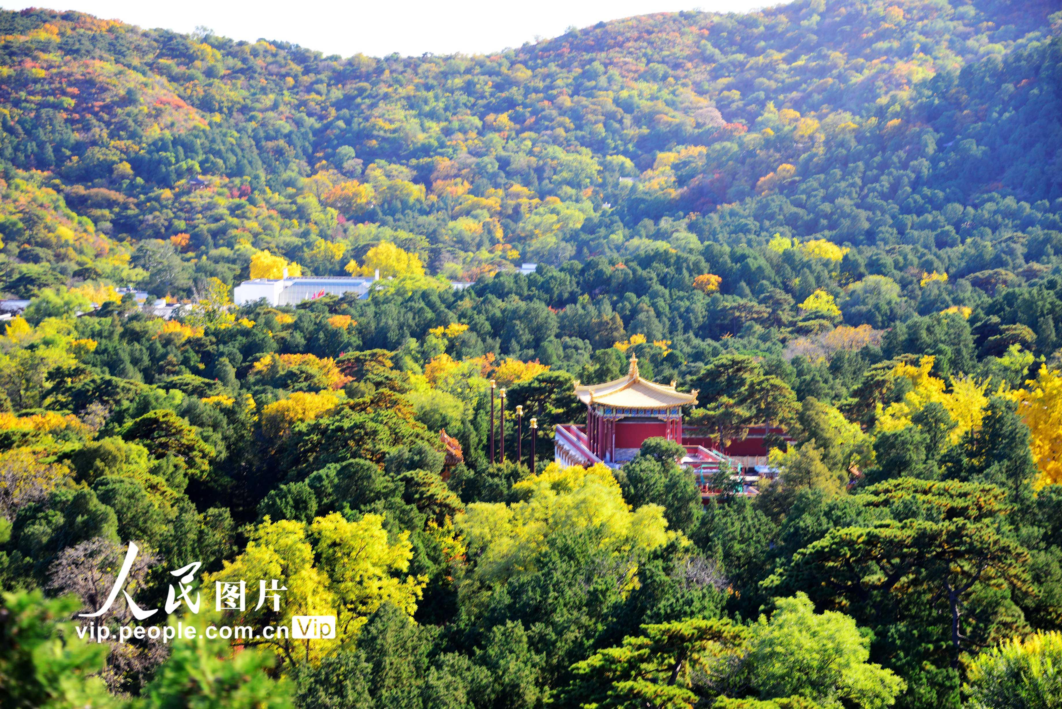 【携程攻略】北京香山公园景点,北门进去景色非常美丽，有大片的感觉。要看到更多的美景需要上到山顶…