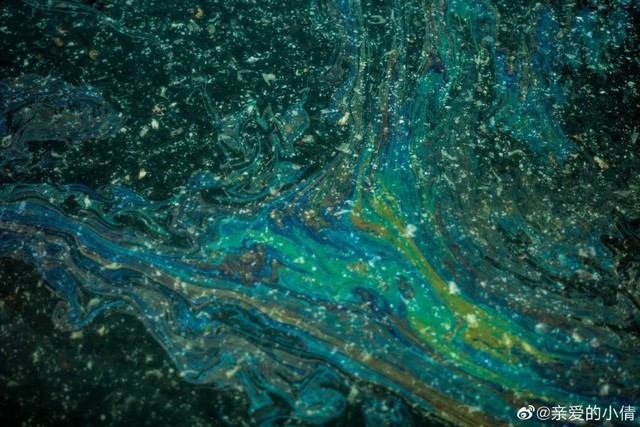 9.11 GR Meet回顾 理光GR IIIx魅力势不可挡