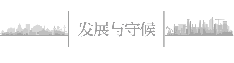 回流东北的年轻人