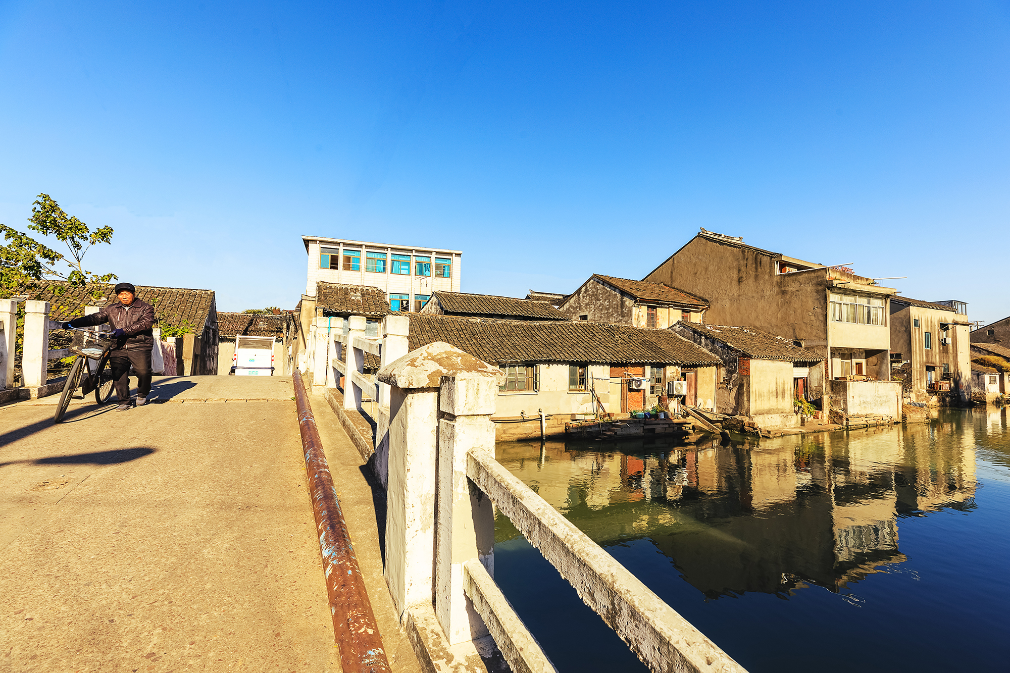 古街塘河相伴的黄埭老街,碧云天,黄叶地,又到银杏金黄时__凤凰网